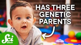 How To Make A Baby With Three Parents