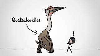 Could This Thing *Really* Fly?